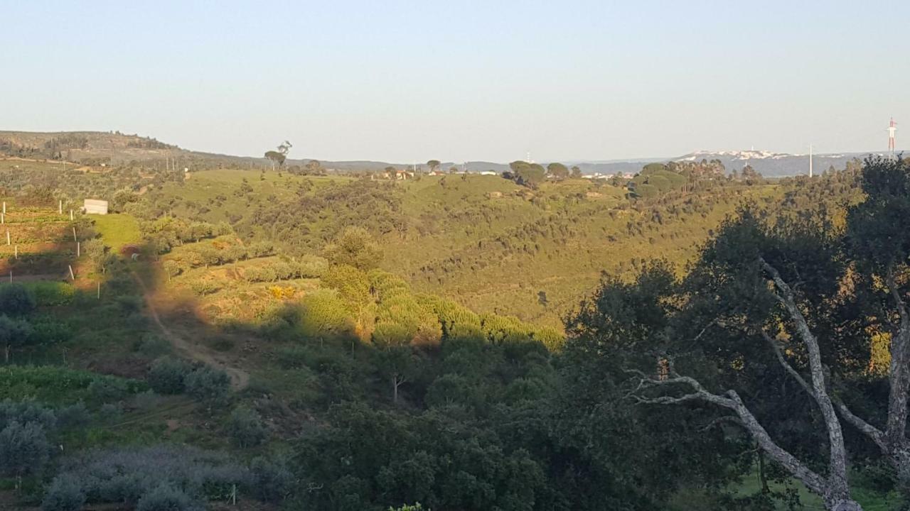 Quinta Do Caneiro - Casa Turismo Rural Constância Eksteriør billede