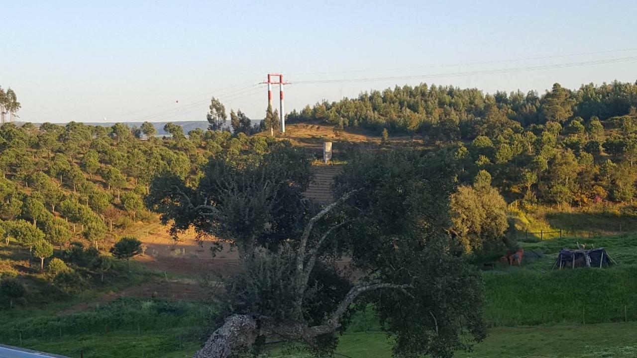 Quinta Do Caneiro - Casa Turismo Rural Constância Eksteriør billede